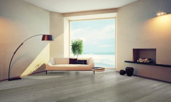 green plant in window gray hardwood johnson oak limerick