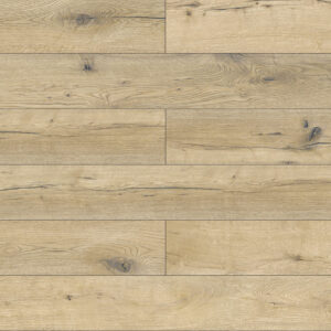 BUCKTHORN VISIONS INHAUS 56349 HausProtect Laminate
