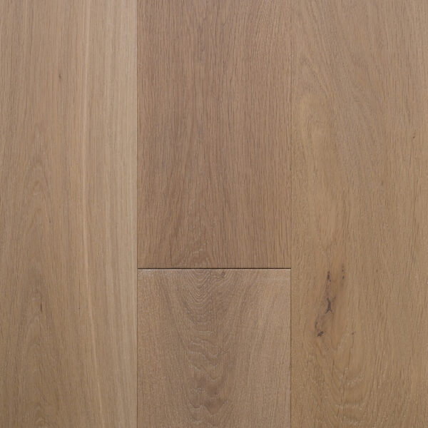 Oak ST AUGUSTINE by Colonial Collection 7-1/2" wide