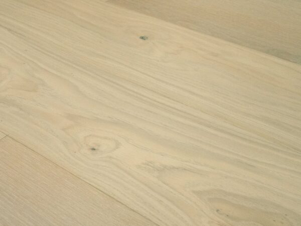 light blonde euro oak terreno sesia reward