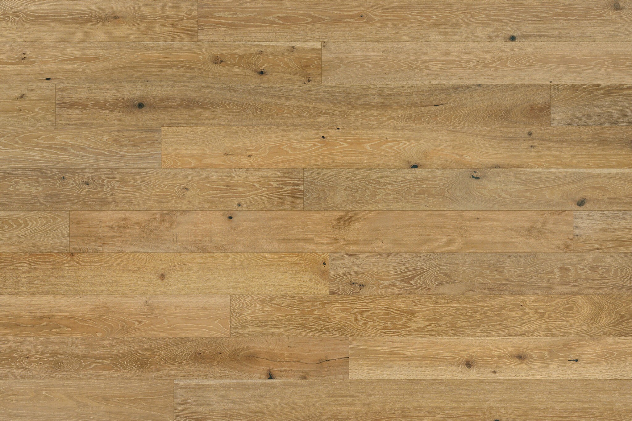 FOREST Reserve Silver Oak DM Flooring hardwood - Elegant Flooring Factory Outlet FOREST Reserve Silver Oak DM Flooring hardwood