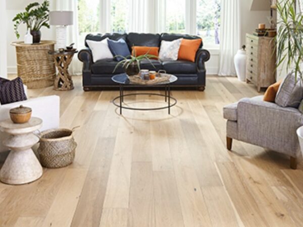 Cape Neddick Oak Antique 2