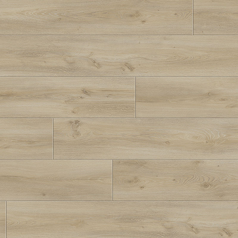 Divine laminate Maestro Arietta Oak - Elegant Flooring Factory Outlet Divine laminate Maestro Arietta Oak