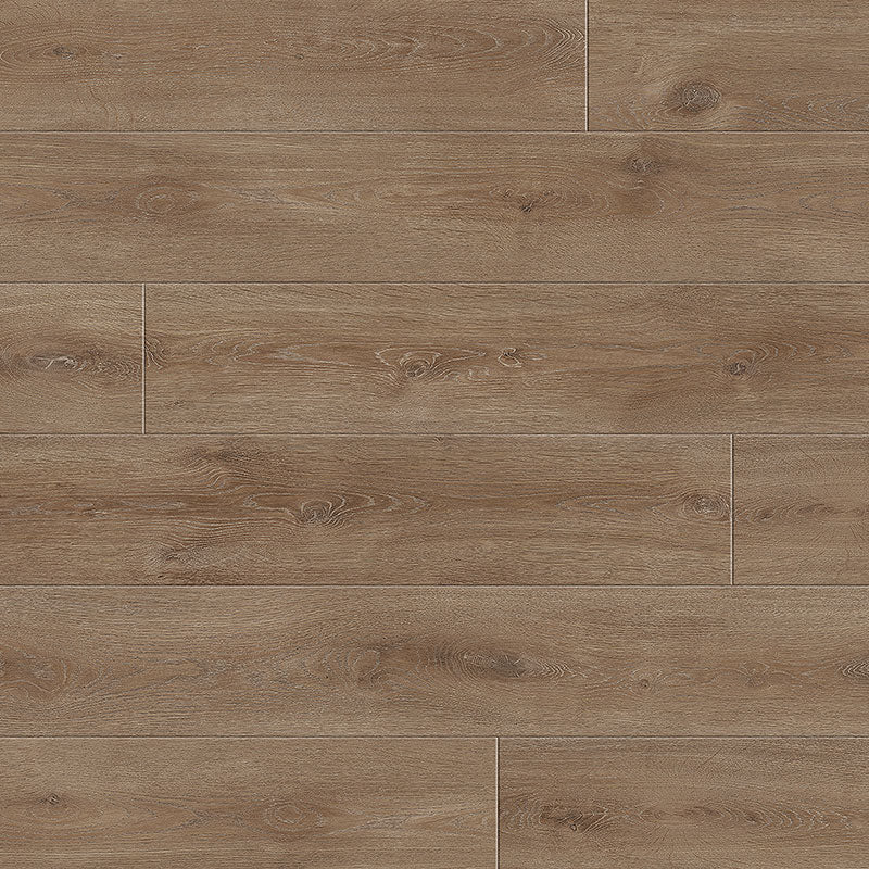 Divine laminate Maestro Baritone Oak - Elegant Flooring Factory Outlet Divine laminate Maestro Baritone Oak