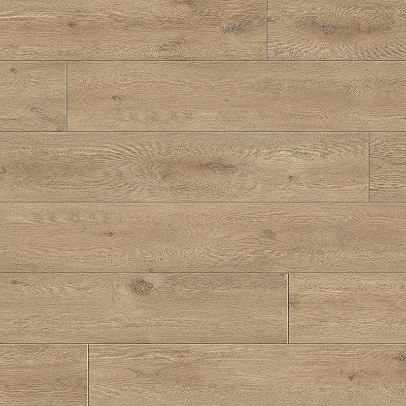 Divine laminate Maestro Dolce Oak - Elegant Flooring Factory Outlet Divine laminate Maestro Dolce Oak
