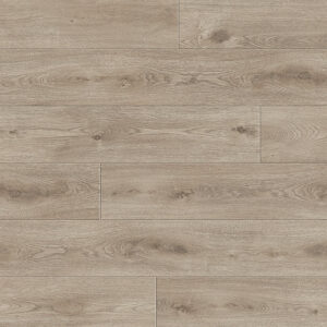 Divine laminate Maestro Forte Oak - Elegant Flooring Factory Outlet Divine laminate Maestro Forte Oak