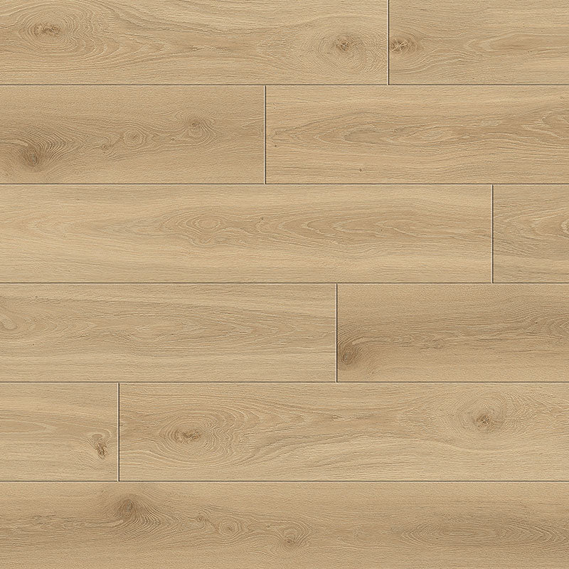 Divine laminate Maestro Opus Oak - Elegant Flooring Factory Outlet Divine laminate Maestro Opus Oak