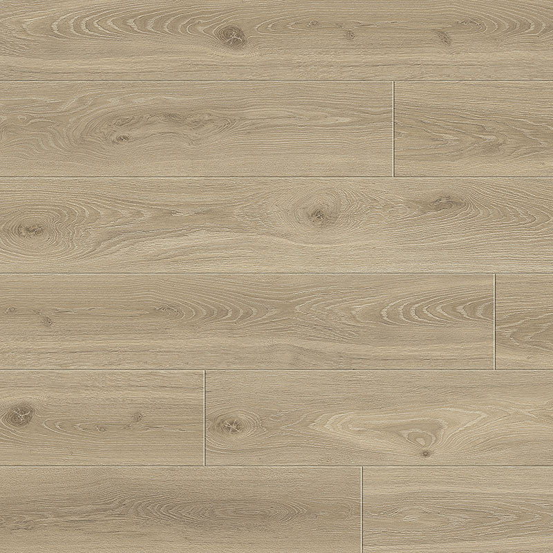 Divine water resistant Cadenza Oak Maestro laminate - Elegant Flooring Factory Outlet Divine water resistant Cadenza Oak Maestro laminate