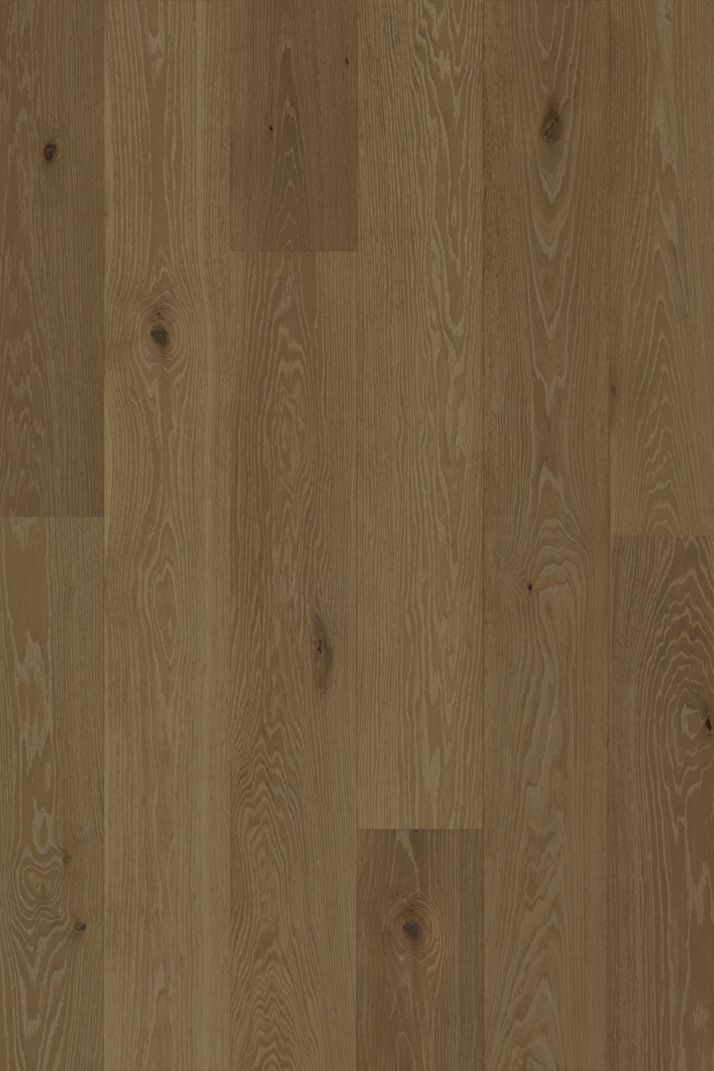 White Oak Jackson Palisades Warm Sand FH261010 - Elegant Flooring Factory Outlet White Oak Jackson Palisades Warm Sand FH261010